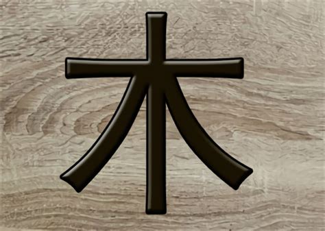 八字木多的人|八字中木过多过旺好不好？对人生有什么影响？